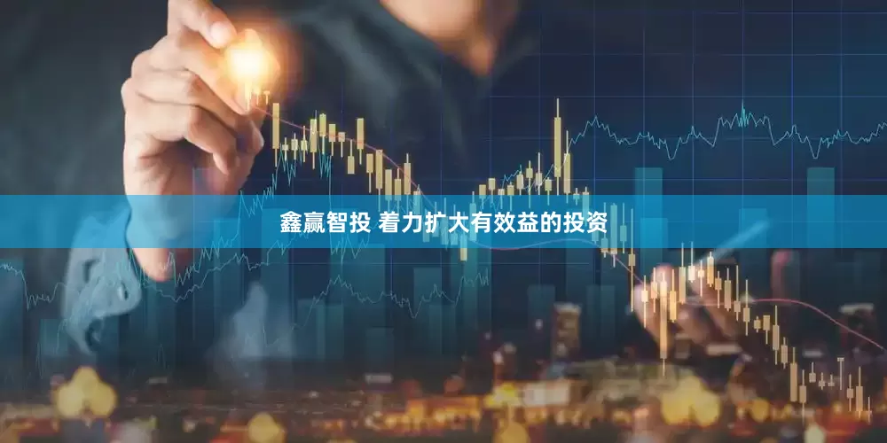 鑫赢智投 着力扩大有效益的投资