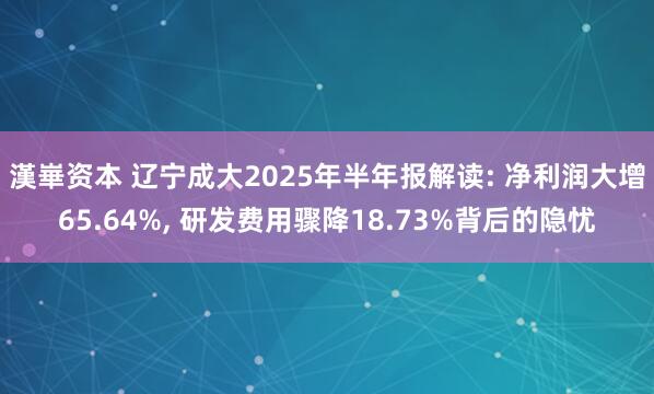 漢崋资本 辽宁成大2025年半年报解读: 净利润大增65.64%, 研发费用骤降18.73%背后的隐忧