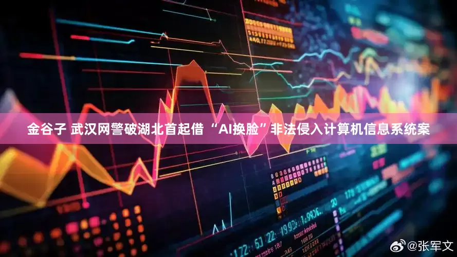 金谷子 武汉网警破湖北首起借 “AI换脸”非法侵入计算机信息系统案