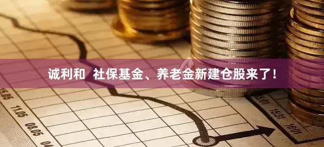 诚利和  社保基金、养老金新建仓股来了！